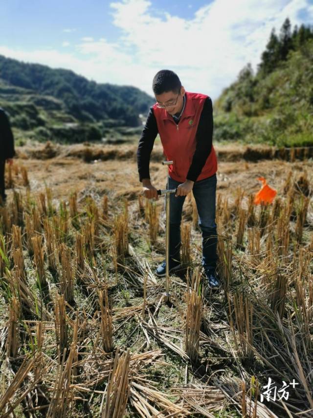 技術(shù)人員深入田間地頭開展土壤取樣、分析。通訊員供圖