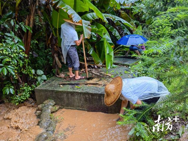 為保障陂嶺近三分之二村民用水，陂嶺村新老干部冒雨前往水源點(diǎn)解決集中供水問(wèn)題。