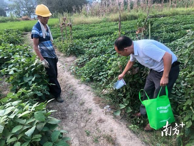 噴灑施藥。