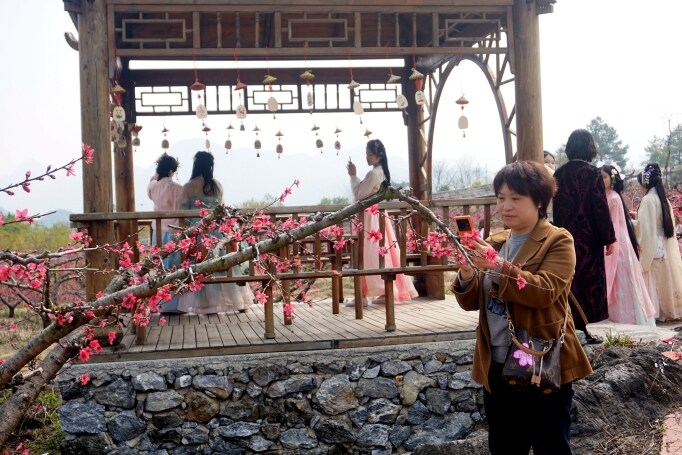 桃花節(jié)在九陂鎮(zhèn)開(kāi)幕，迎來(lái)八方游客。清遠(yuǎn)日?qǐng)?bào)記者 周璐攝。