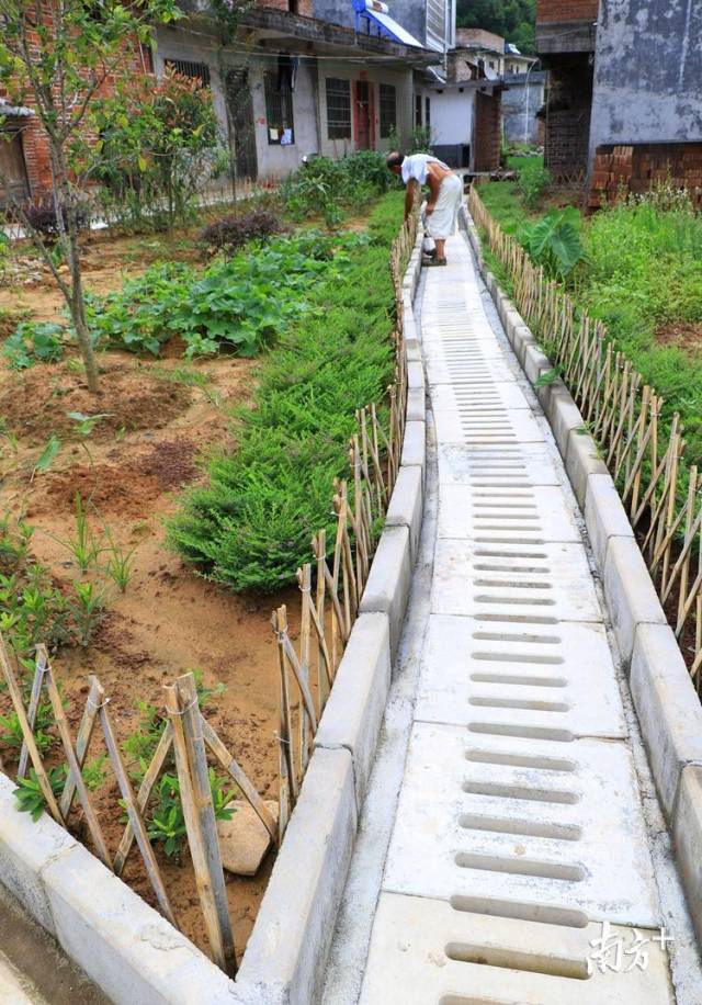 50個自然村建有污水處理系統(tǒng)。記者黃津 攝