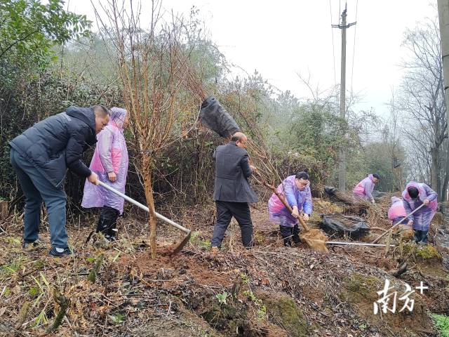 九陂鎮(zhèn)掀起全民義務(wù)植樹熱潮。
